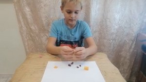 Лего капибара.