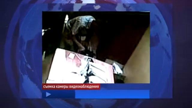 Вор обшарил сумки сотрудников магазина смотреть онлайн