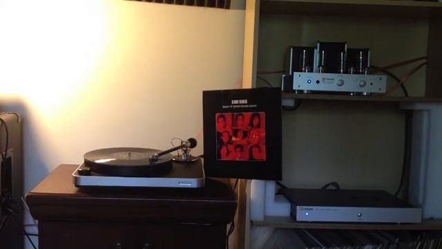 BLONDE REDHEAD - IN PARTICULAR (VINYL)