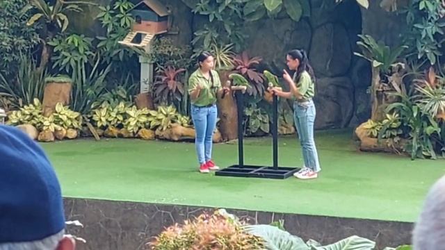 Cebu Safari Adventure Park - Vlog 2 | Di Pino - VlogsTV