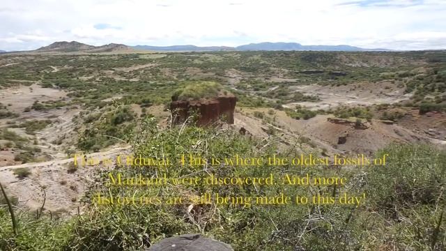 Went on a Private Safari lookin 4 Simba смотреть онлайн