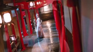 Мой дорогой лис 1 сезон 29 серия