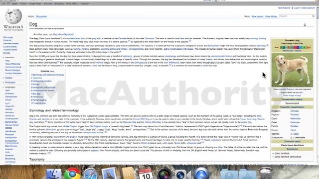 Mac 101 -Save Images from Safari смотреть онлайн