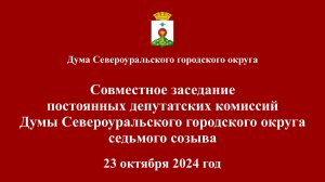 Совместное заседание постоянных депутатских комиссий Думы 23.10.2024 год