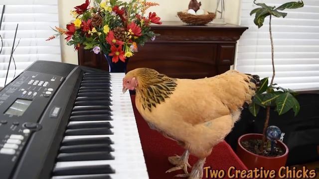 Best opera performance by André Rieu  Chicken - O Mio Babbino Caro