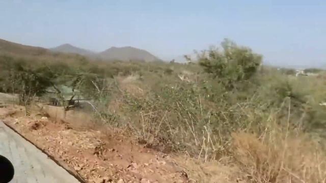 Sajjangarh Biological Park Udaipur смотреть онлайн