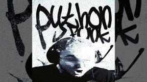 PYTHON FUNK (перезолив)