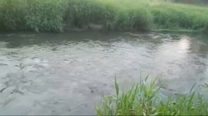 ОТКРЫТИЕ ДОРОГ С ПОМОЩЬЮ РЕКИ...ДЛЯ ВСЕХ...