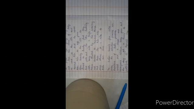 BRAVE HEARTS смотреть онлайн