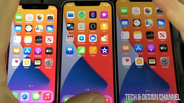 Browse the web using safari on iPhone | The Basics смотреть онлайн