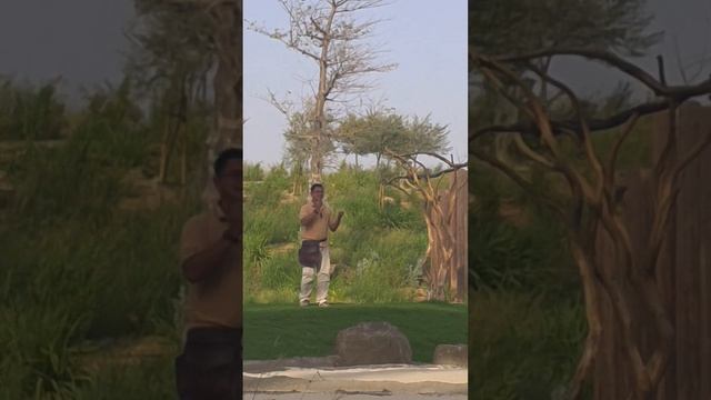 The Bird Show, At The Newly Opened Sharjah Safari Zoo..2/21/22. смотреть онлайн