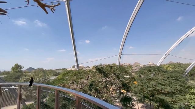 African Village | Dubai Safari Park | Iphone 12 Pro Max Video Shoot Day Camera Test | It’s Me Ahlyn смотреть онлайн