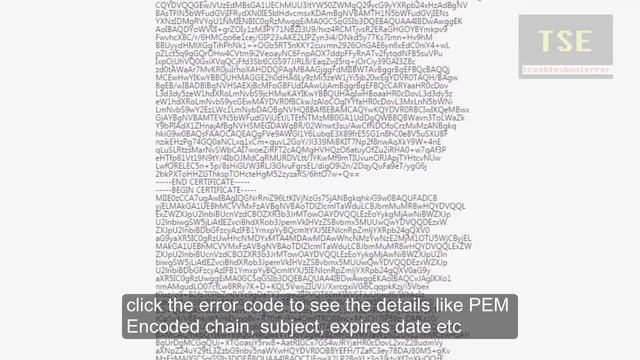 NET::ERR_CERT_REVOKED CHROME | Server's certificate has been revoked