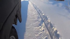 УАЗ по снегу (Forward SAFARI 530)