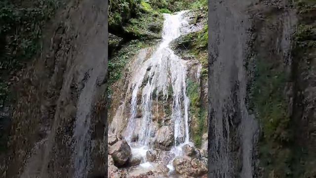 VID-20241019-WA0047.mp4