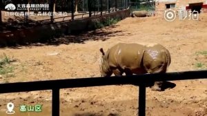 One Day In DaLian Forest Zoo