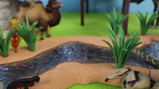 Fun Safari Animal Diorama for Animal Figurines Learn Animal Names смотреть онлайн