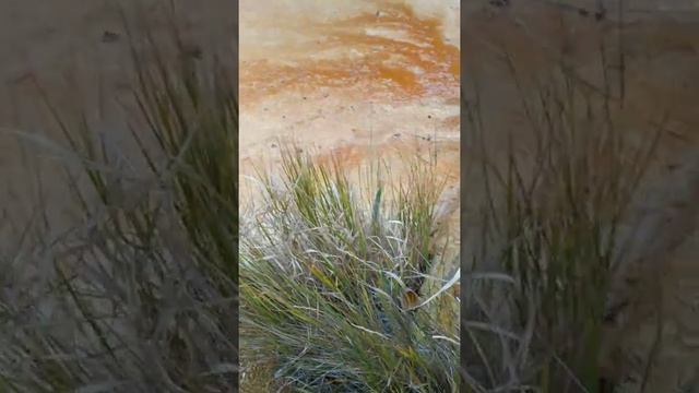 Дорога на источник смотреть онлайн