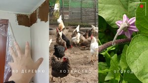 👩🌾Покупки для дома в деревне 🏠Продолжаем ремонтные работы 🐔Готовим курятник к зиме