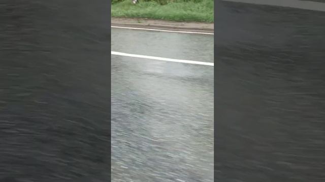 Двери открываются наружу (читает автор, Галия Ильдарова) смотреть онлайн