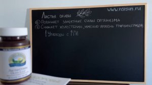 Листья Оливы НСП   противовирусный комплекс широкого спектра действия
