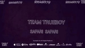 team trueboy-SAFARI SAFARI (audio official)