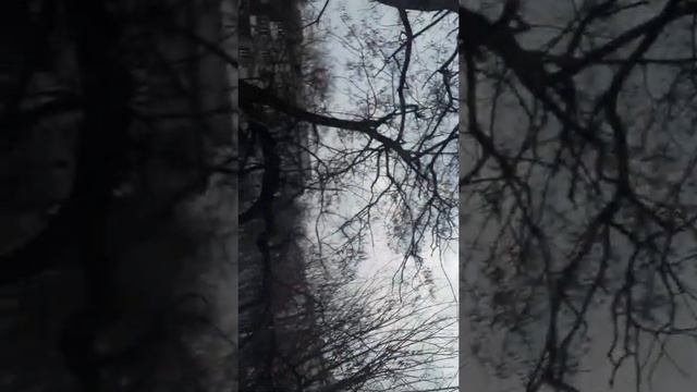 24 часа на кухне