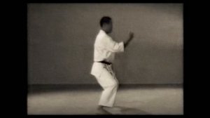 19 Каратэ. Наследие Накаямы. Ката Ганкаку