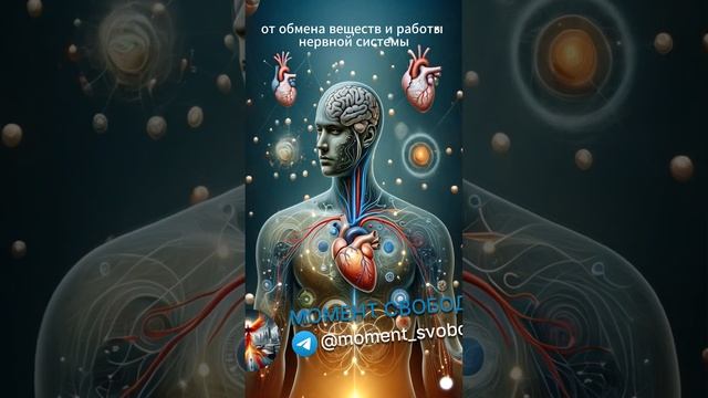 Революционный Путь к Гармонии Тела и Духа смотреть онлайн