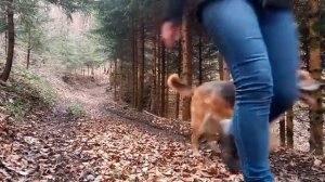 ИЗМЕНА ЖЕНЫ С ЛУЧШИМ ДРУГОМ, КУВЫРКАЛИСЬ В НАШЕЙ ПОСТЕЛИ ПОКА Я БЫЛ НА РАБОТЕ  ИСТОРИИ ИЗМЕН