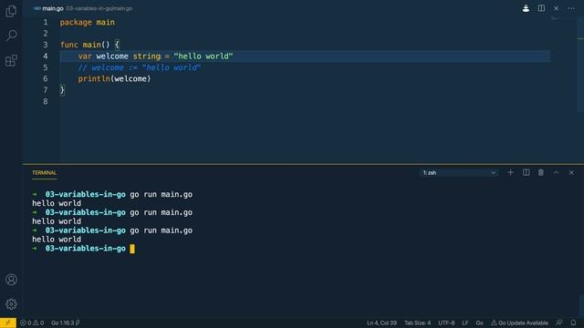 04 - Variables in Go (2160p with 30fps)