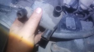 Чері амулет. Сепаратор і його проблеми.