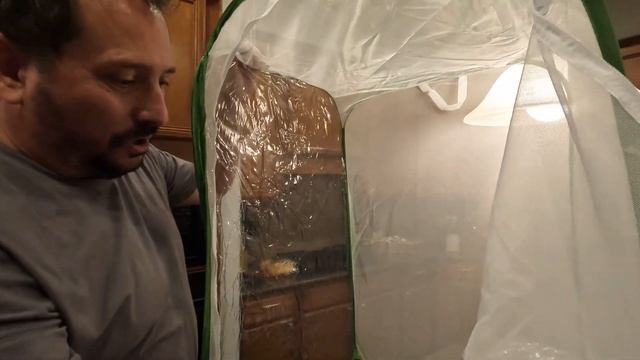 RESTCLOUD 36" Large Monarch Butterfly Habitat смотреть онлайн