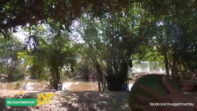 Пищевая искусство пищевые приключения Традиционная пища натуральные пищевые продукты удивительные б смотреть онлайн