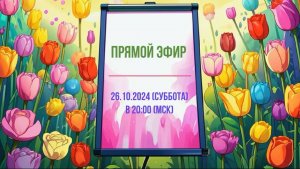 Анонс эфира 26.10.2024