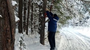 Кормушка для птиц.Морозное утро.❄️⬛