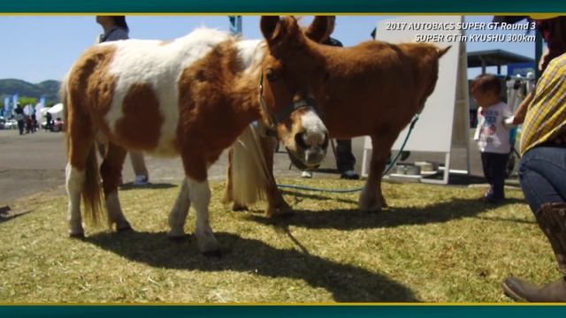 2017スーパーGT 第3戦 大分／埼玉トヨペットGreen Brave смотреть онлайн