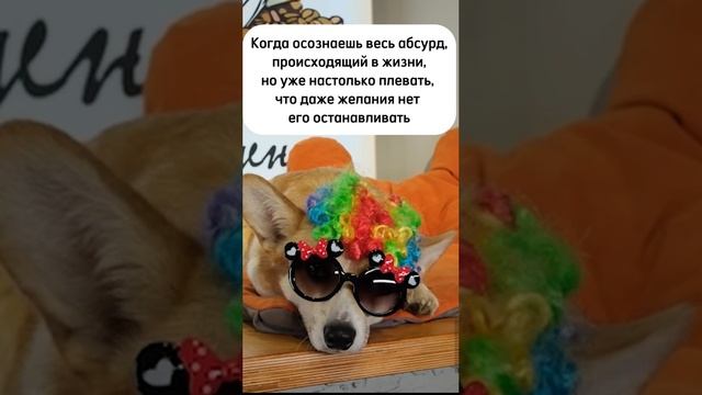 Когда осознаешь весь абсурд