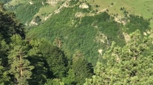 Дело Храбрых