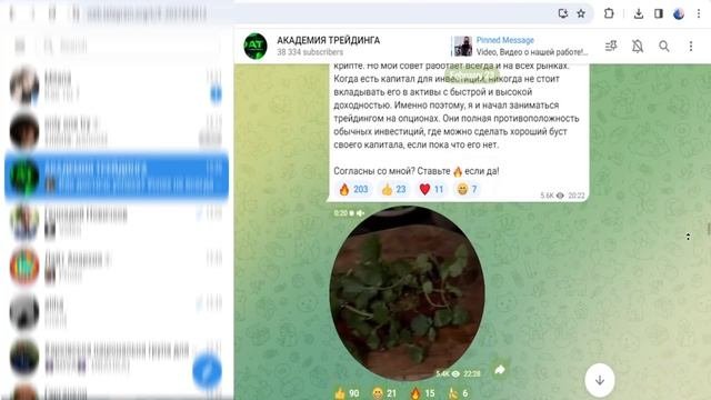 Академия трейдинга — отзывы, разоблачение