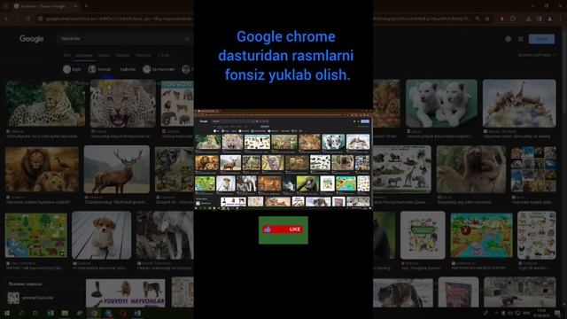 Google chrome dasturidan rasmlarni fonsiz yuklab olish #infotexnologiya#googledanrasmnifonsizyuklas