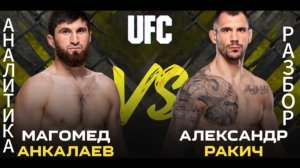 Анкалаев vs Ракич,UFC308,Мага нокаутом или у нас новый претендент?