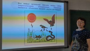 Биология 7 класс, тема "Пищевые  цепи и пищевые сети"