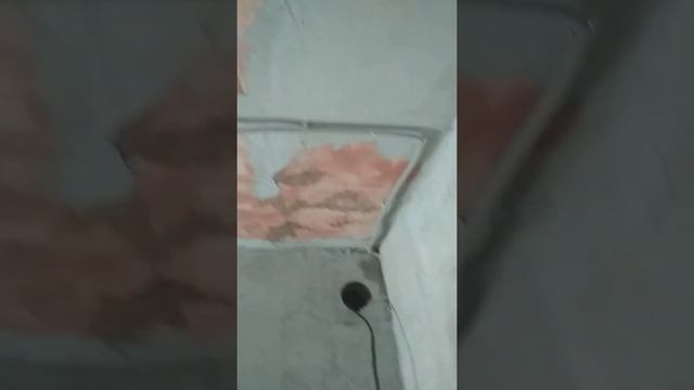 Ванна по прошествии 5 дней. смотреть онлайн