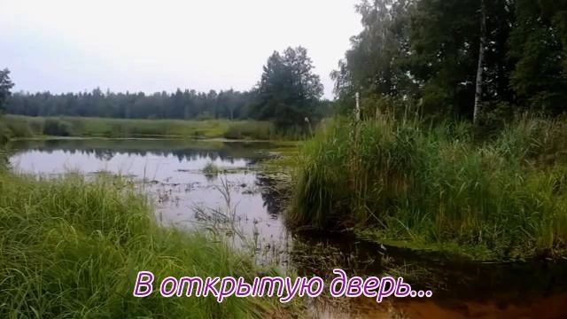 Э. Толле " В ОТКРЫТУЮ ДВЕРЬ" смотреть онлайн
