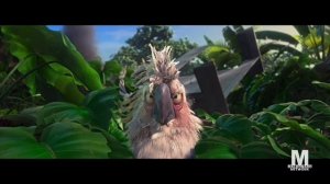 Rio - Maldonado Network Credits... again