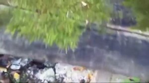 Мужчина нашёл мрачное место в лесу.