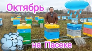 Заключительные работы с пчёлами, перед зимовкой! Пчеловодство!