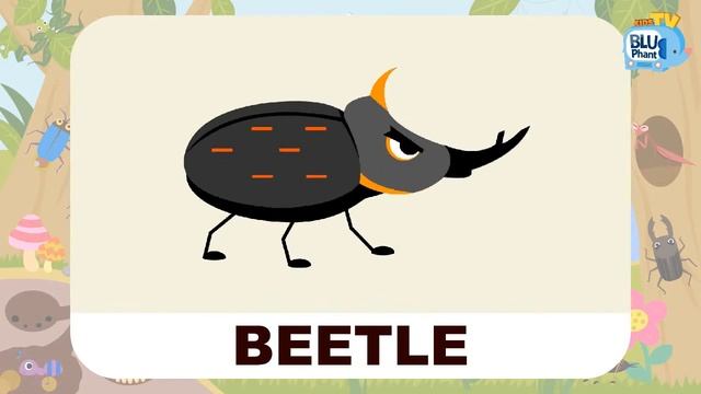 ⭐️Kids Vocabulary⭐️ Insects/Bugs for Kids and Toddlers | Kids Flashcards | Learning English for Kid