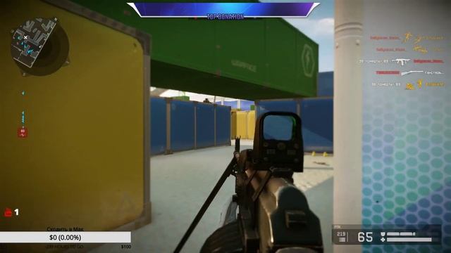 CS Go c Котом и его котонами смотреть онлайн